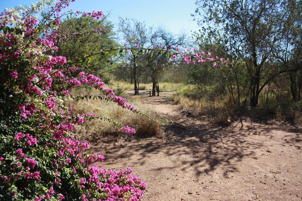 פאלאבורווה Normann Safari Bush Lodge מראה חיצוני תמונה